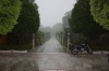 Monsoon at the Ashram