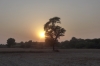 Vrindavan