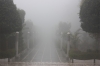 Winter in India