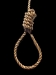 Death Penalty