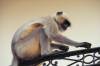 Ashram211.JPG