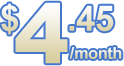 Only $4.45 per Month