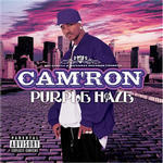 Cam'Ron - Purple Haze Album