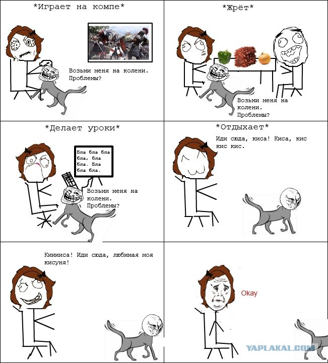 Котэ, иди сюда